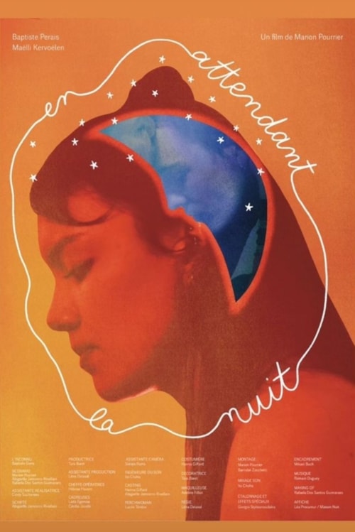 Waiting for the Night poster